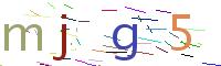 Verify Code